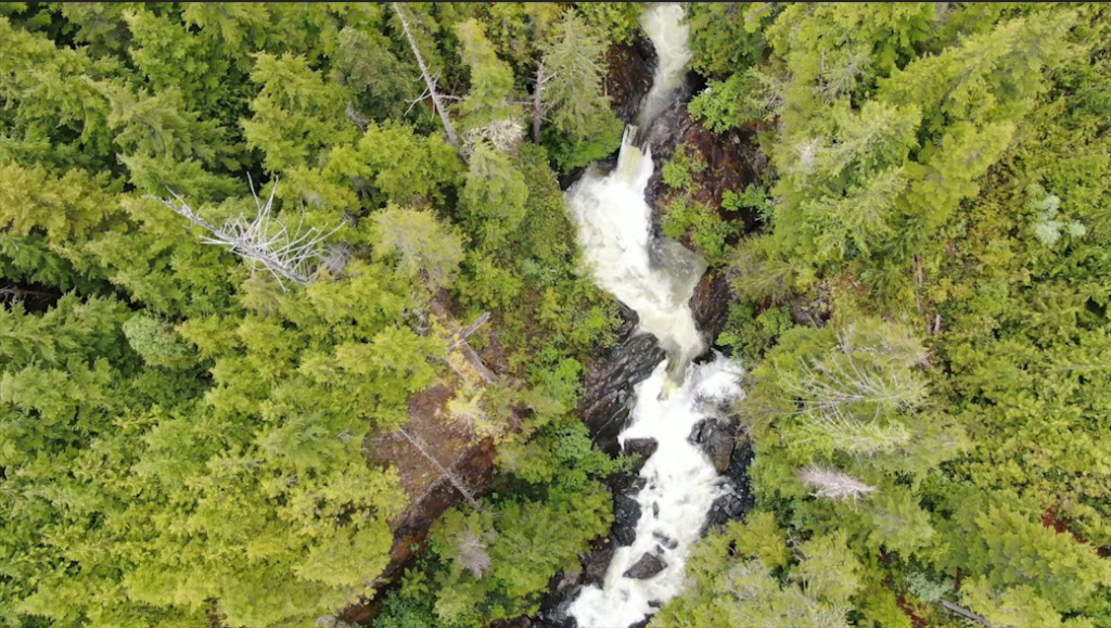 "It’s been a really hard year. I’ve lost both family and friends, but through it all, I keep trying to follow Hendri Coetzee’s advice, to live in pursuit of the best day ever – because tomorrow might not happen. This short film follows a season of kayaking in Western Canada. Together with friends, we explore what it means to be alive, finding strength in each other and in nature." By Heather Buckingham