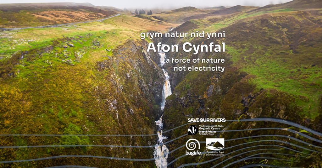 Help Save Eryri’s Iconic Waterfall and Wildlife